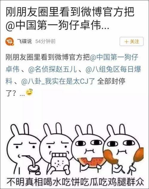 2022娱乐吃瓜汇总,盘点年度吃瓜盛宴